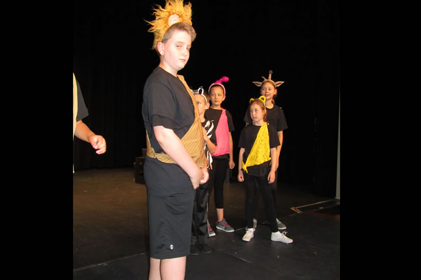 g-lion-king-