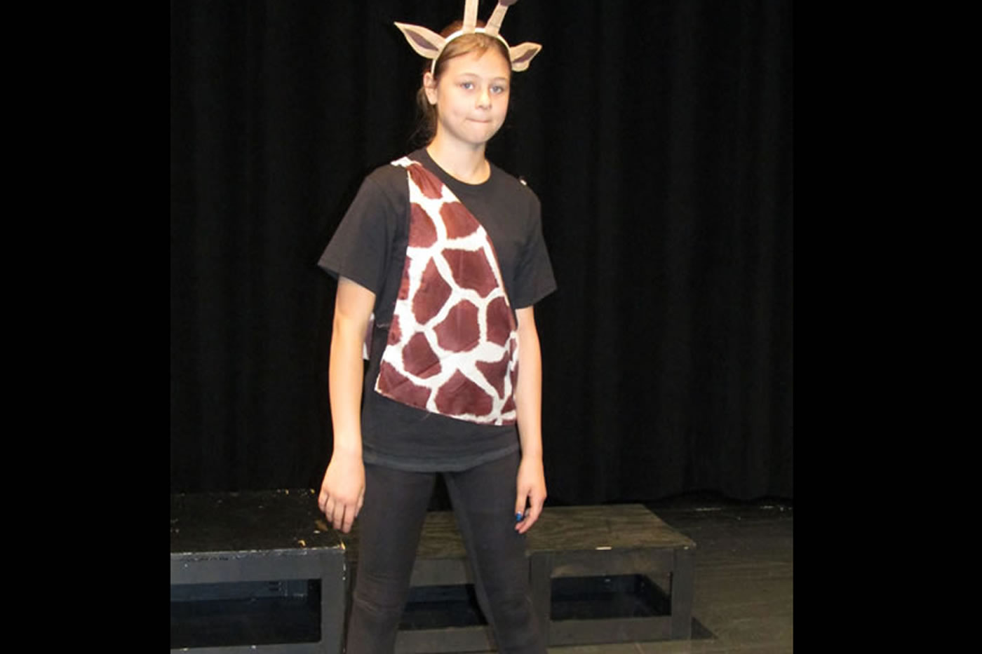 g-lion-king-